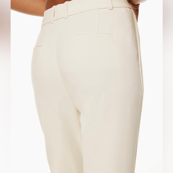 Aritzia Program Pants - Picture 3 of 16